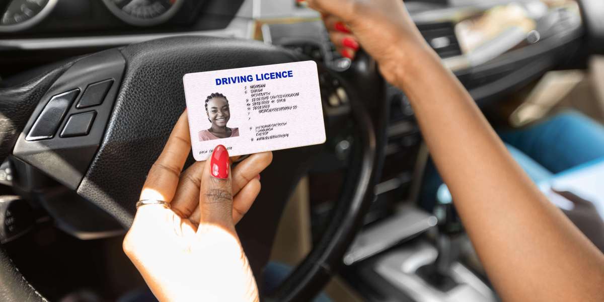 What Are The Reasons You Should Be Focusing On The Improvement Of Buy A Driver License