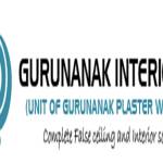gurunanak plaster profile picture