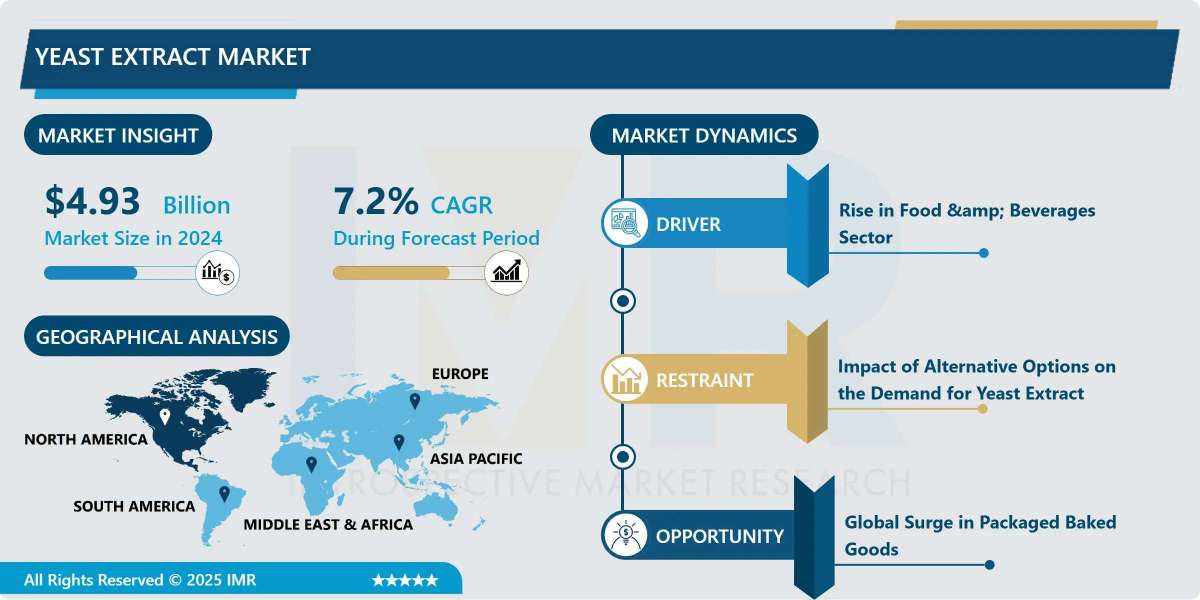 Yeast Extract Market Demand Outlook, Regional Trends & Forecast (2024-2032)