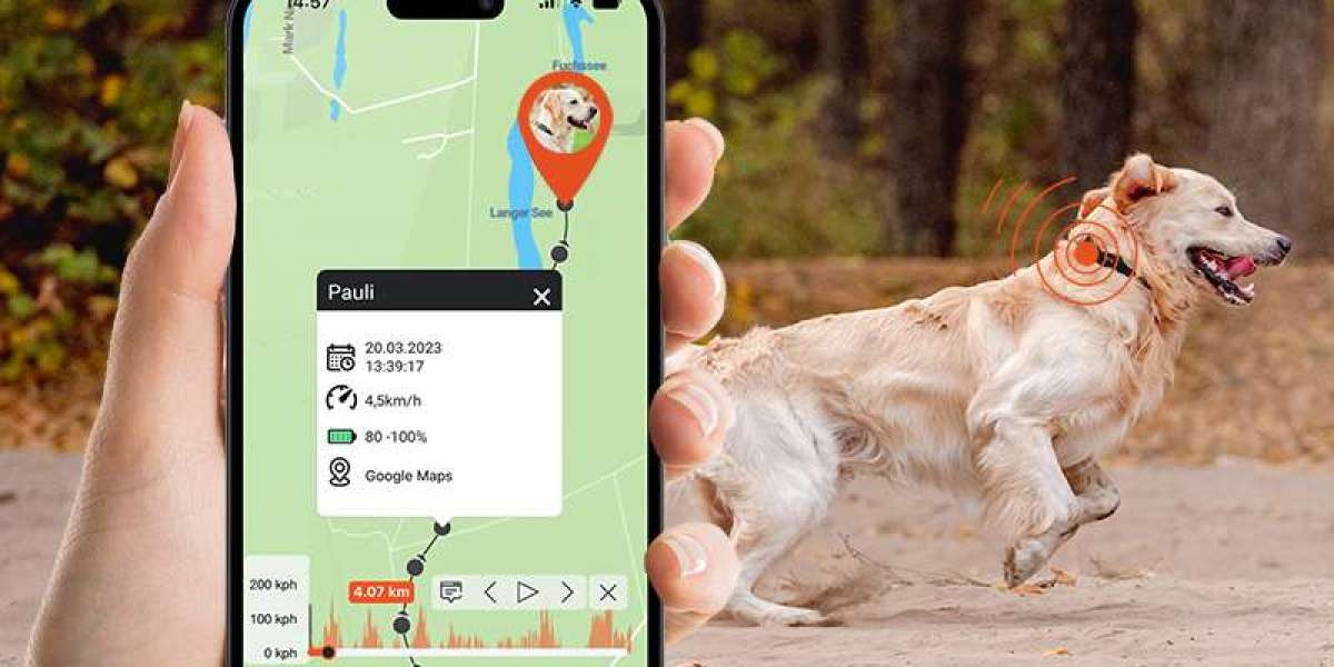 The Benefits of GPS Dog Trackers for Active Families