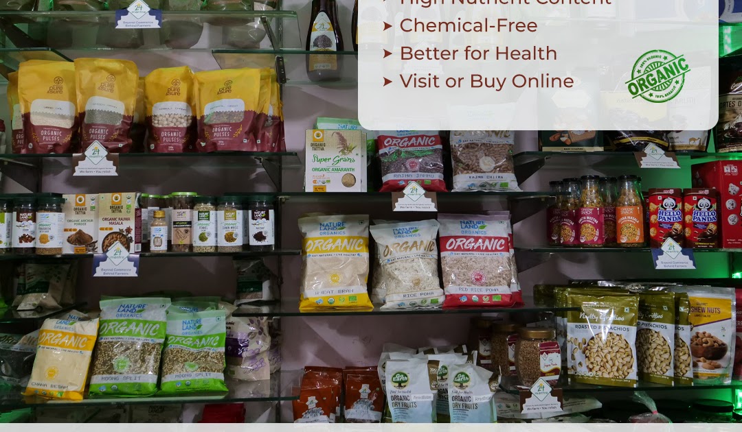 Best Food Supplements in Chandigarh for Energy, Immunity & More