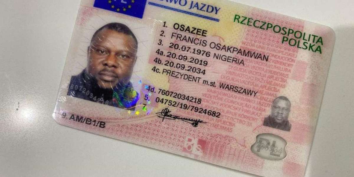 20 Trailblazers Are Leading The Way In Buy Driving License