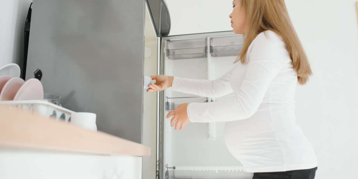 Freezers For Sale 101 The Ultimate Guide For Beginners