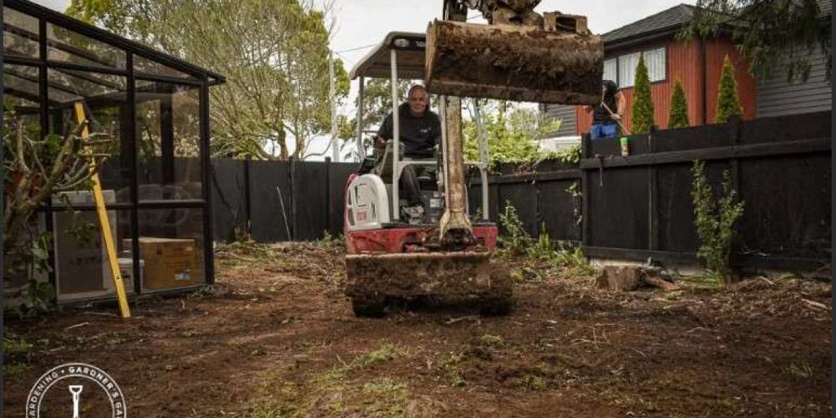 Article Picture