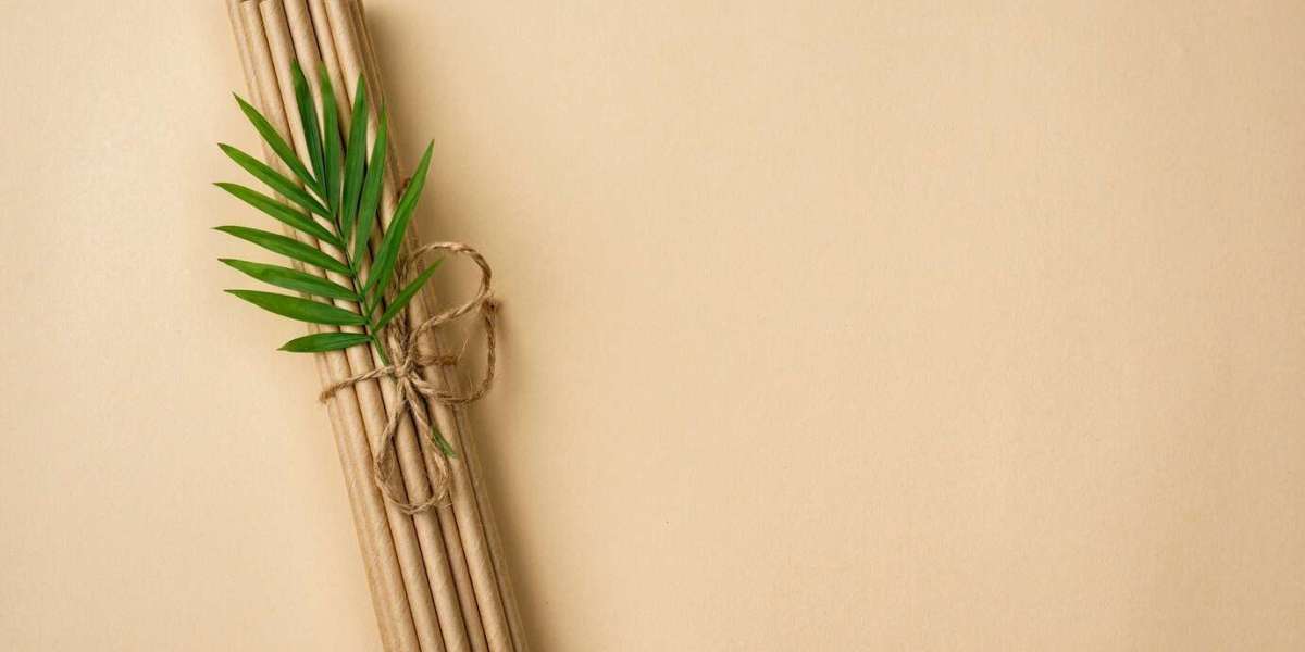 Dry Coconut Leaves Based Biodegradable Straw Manufacturing Plant Report- Detailing Setup Layout and Unit Operation