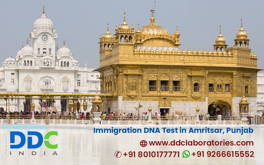 Immigration DNA Tests in Amritsar, Punjab – DDC Labs