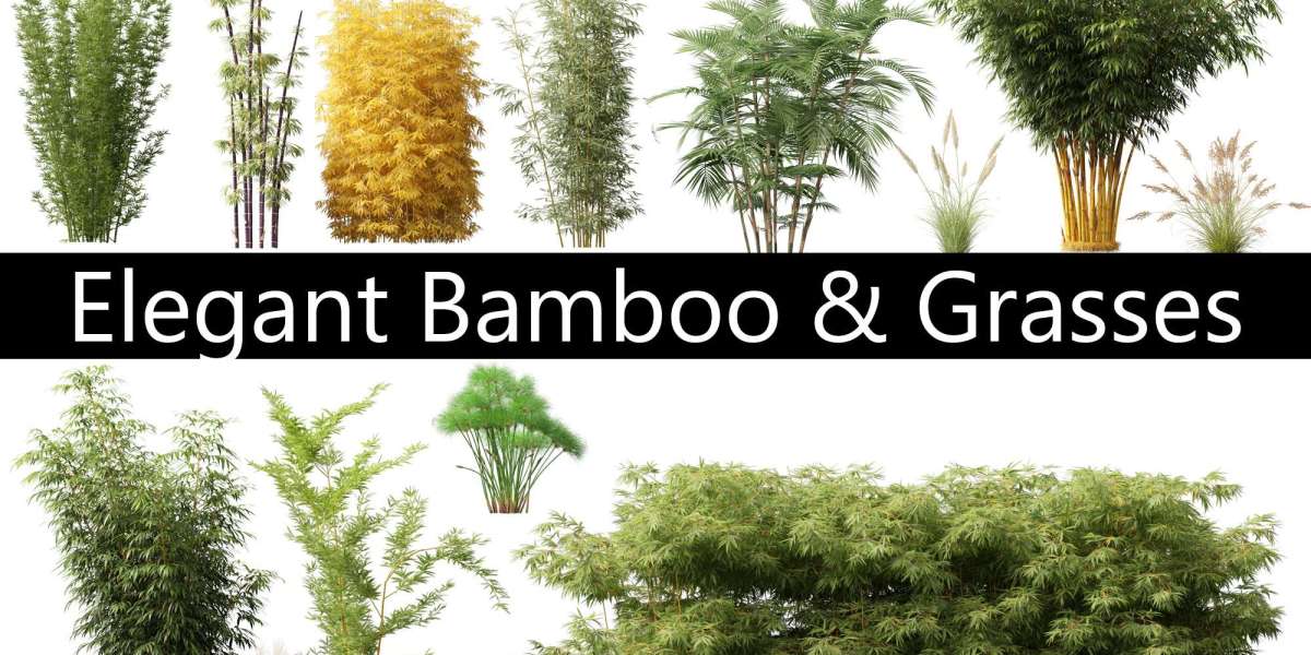 Enscape Plants Models for Rhino3D – Free Download Now