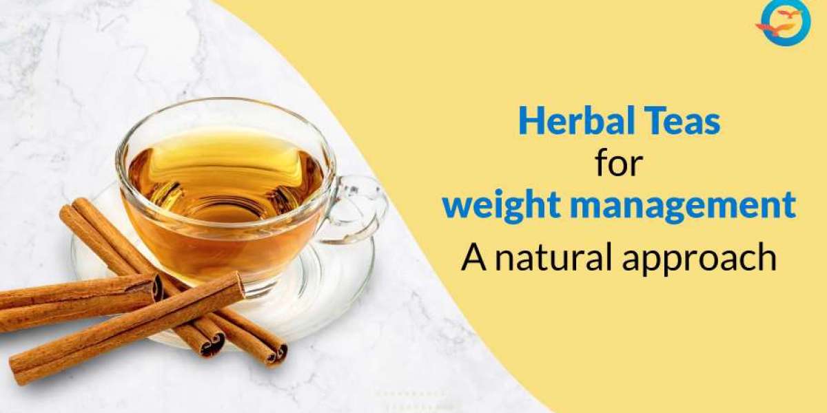 Herbal Teas That Burn Fat: What Works and What Doesn’t