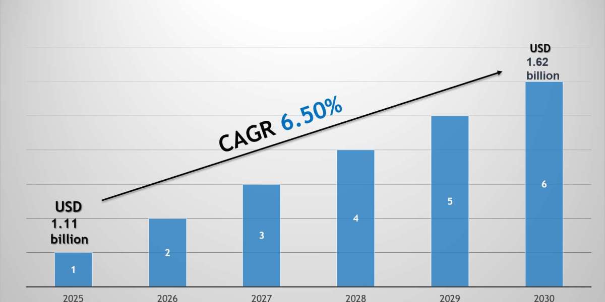 Italy Electric Bike Market Forecast 2030 with Charts, Data Visuals & Insights