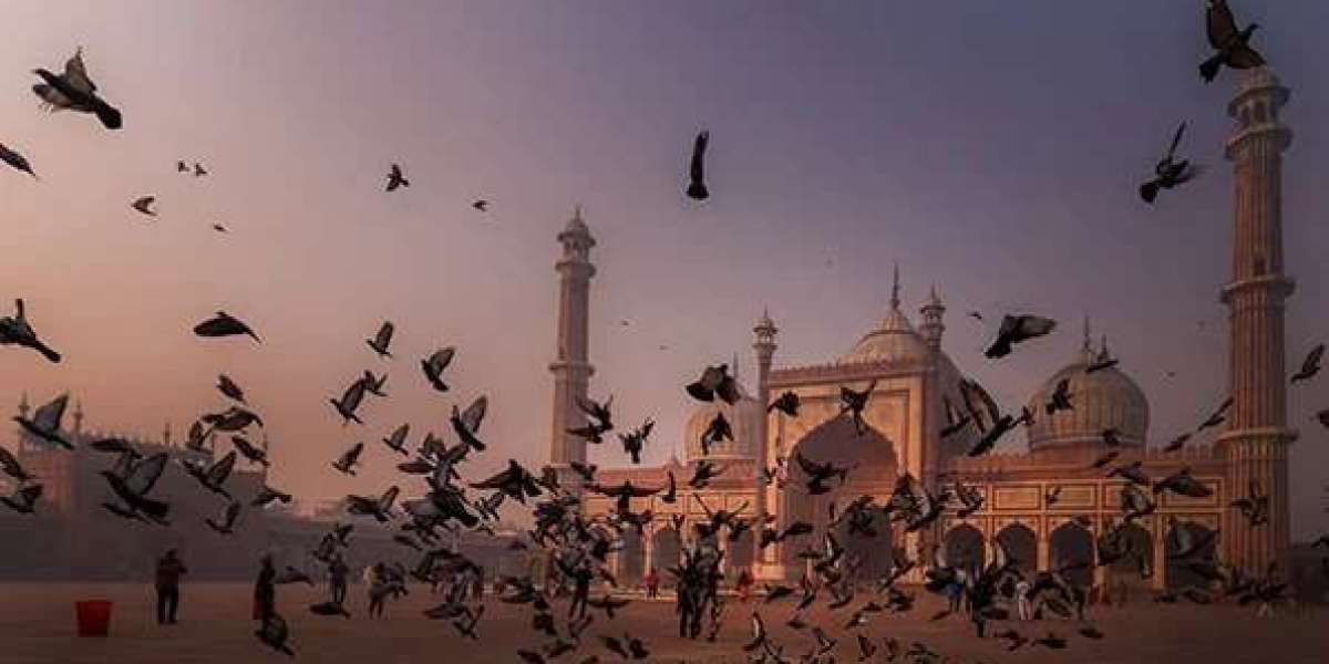Luxury Golden Triangle Tour India: Where Heritage Meets Elegance