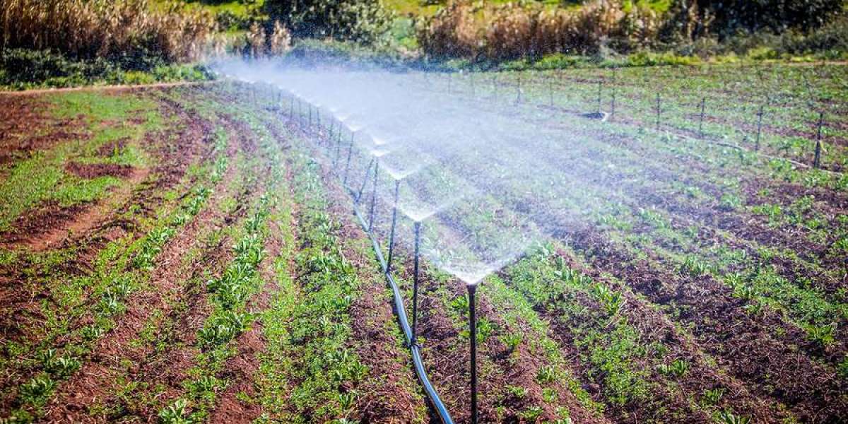 Mexico Irrigation Water Pumps Market Growth Trends, Volume Insights & Outlook 2030