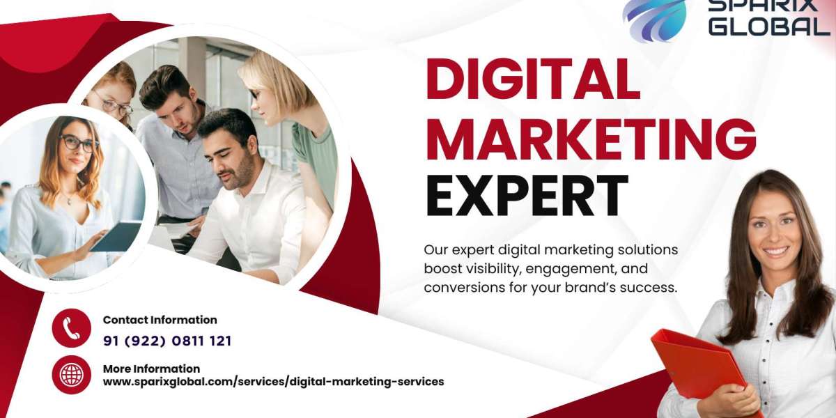 Digital Marketing Expert: Driving Business Growth in the Digital Era