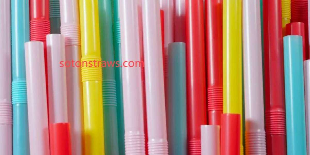Soton's PP Straw: Understanding Practical Usage Challenges