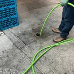 Melvin Profile Picture