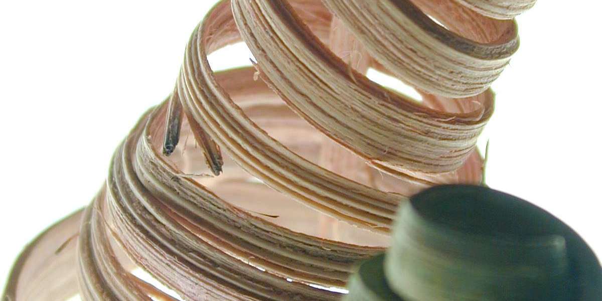 Somatotropin – Wirkung und Definition