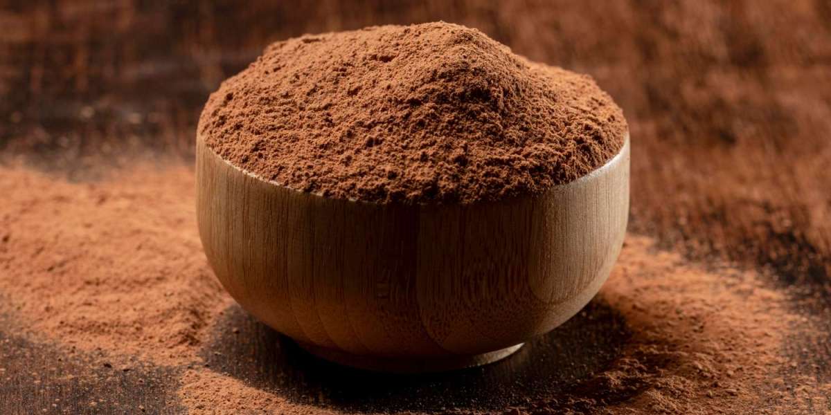 Cocoa Powder Manufacturer in Rajasthan: Quality Cocoa Ingredients from the Desert Lands