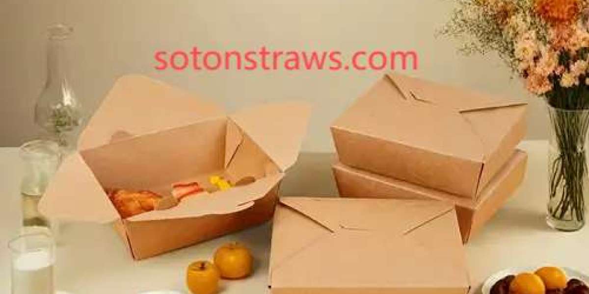 The Core of Soton's Disposable Kraft Box