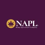 NAP Limited Profile Picture