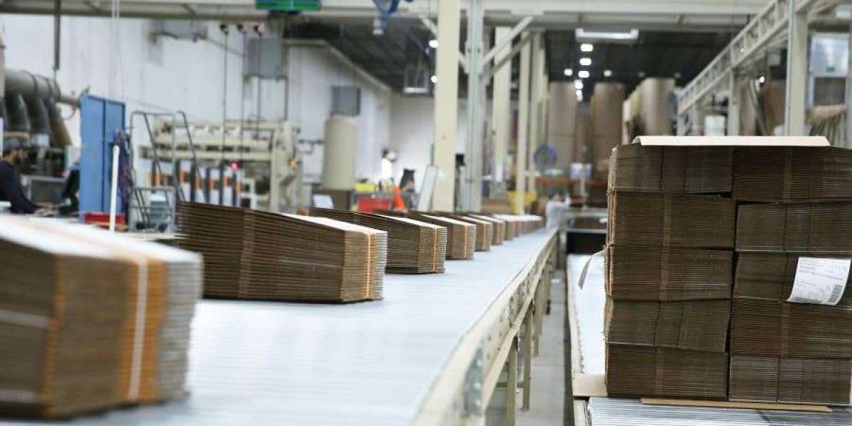 Corrugated Packaging Market Outlook to 2034: Trends, Regional Insights & Key Opportunities