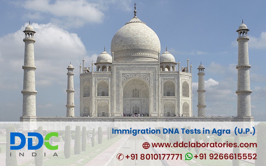 Immigration DNA Tests in Agra | Trusted & Accurate