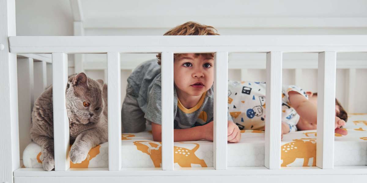 See What Cheap Baby Beds Tricks The Celebs Are Using