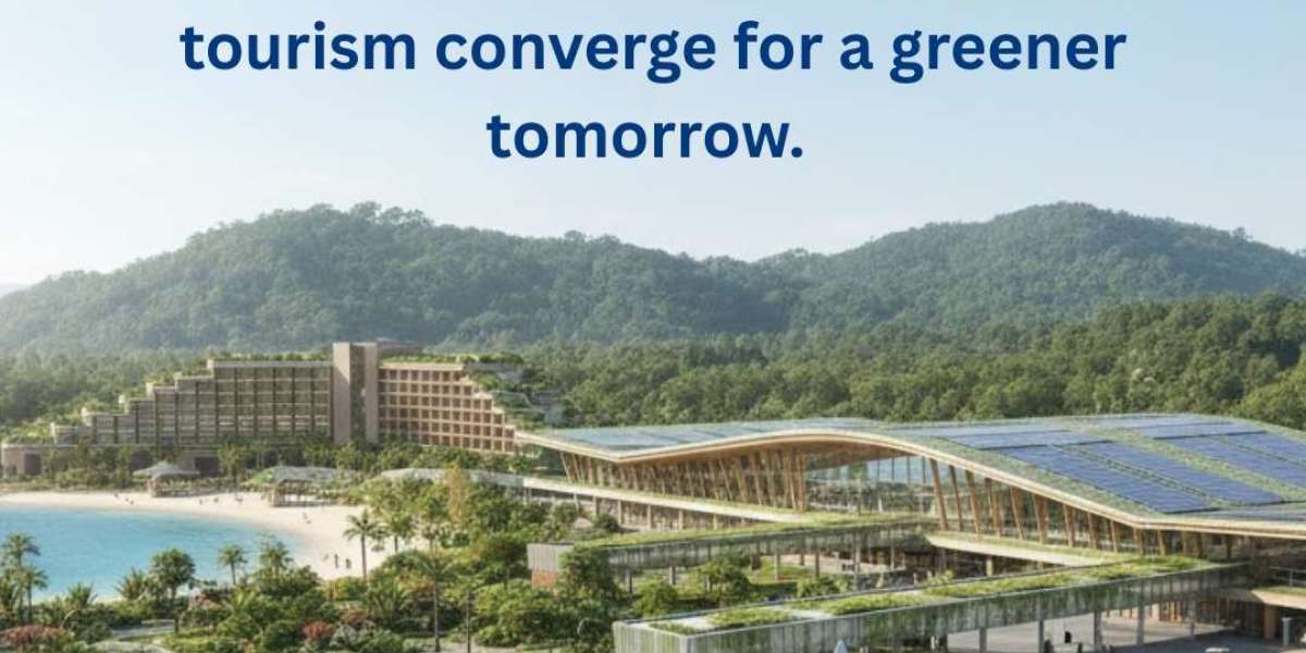 Navigating the Skies: Gen Z’s Guide to a Successful Career in Aviation