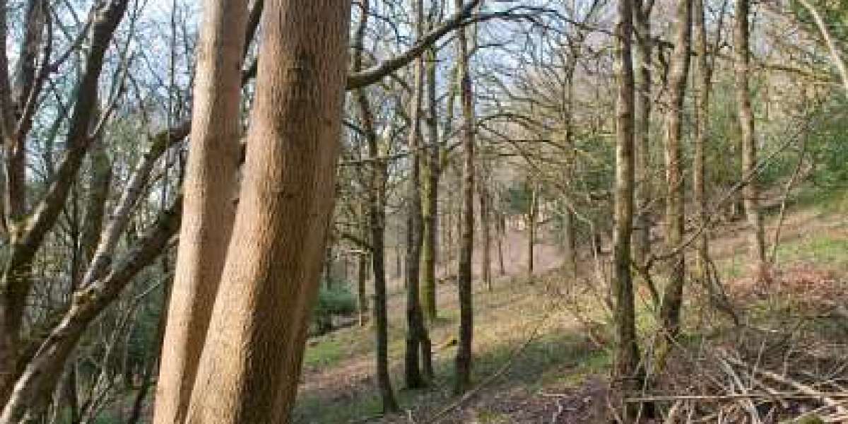 Online Casinos for USA Players Play at Trusted US Casino Sites