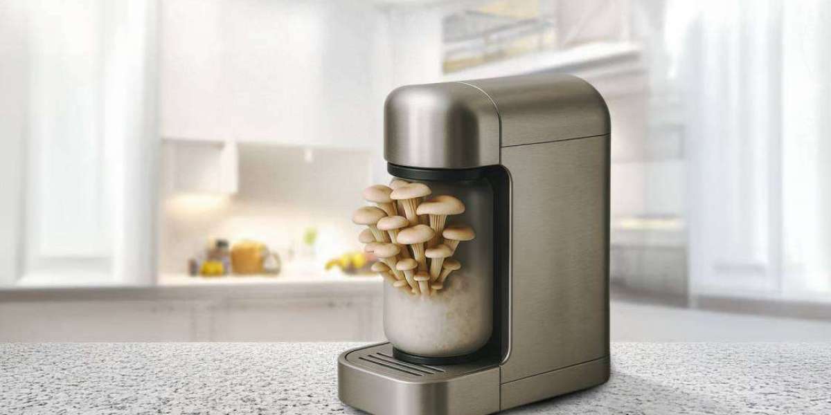 Is Hypha Labs a Good Investment? Stock Price, Market Potential, and Forecast