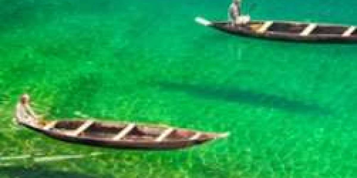 Book the Best North East Tour Package – Explore Assam, Meghalaya & Arunachal Pradesh