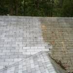 Commercial Roof Cleaning Mosselbay Profile Picture