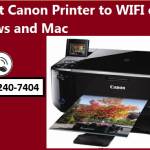 xegacam gamepec Profile Picture