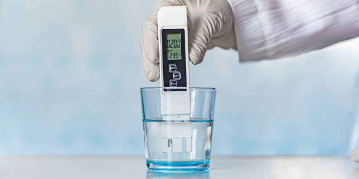 Troubleshooting Common Issues with Water pH Sensors