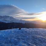 deepanshu negi Profile Picture