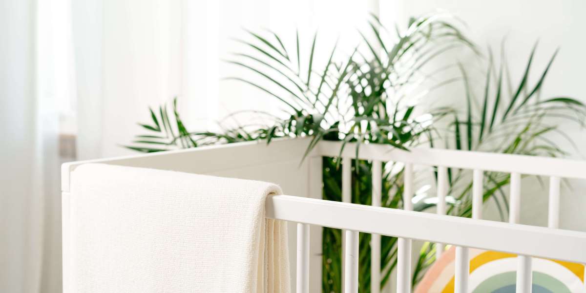 20 Things You Need To Be Educated About Baby Cot