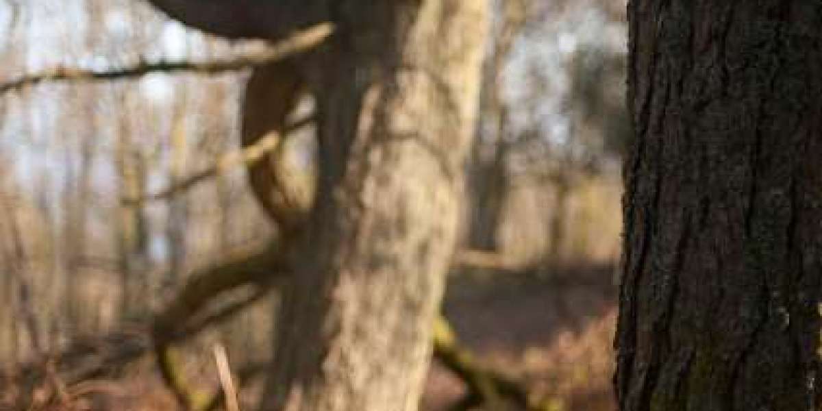 Ripper Casino Login and Get $7,500 Welcome Bonus!