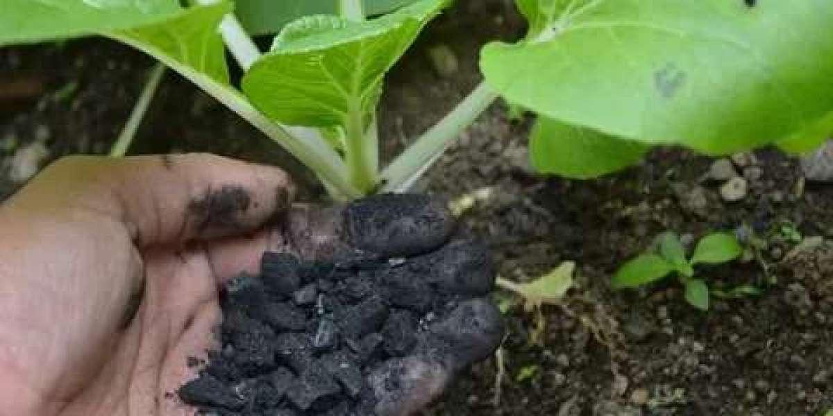 Global Biochar Market Report: Industry Outlook 2033