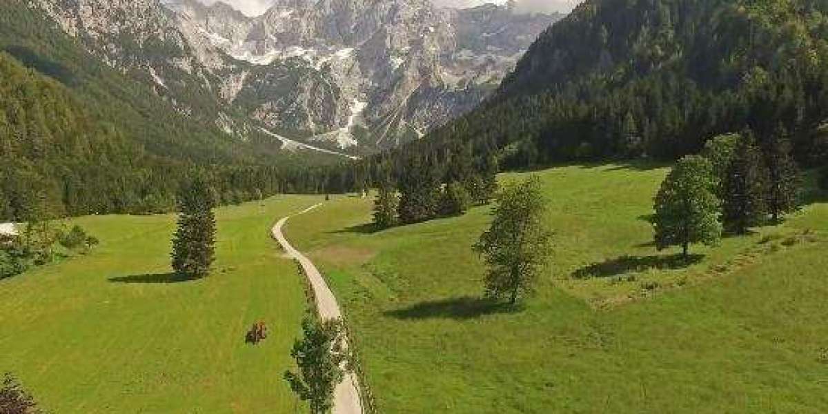 Becky is a Realty Agent