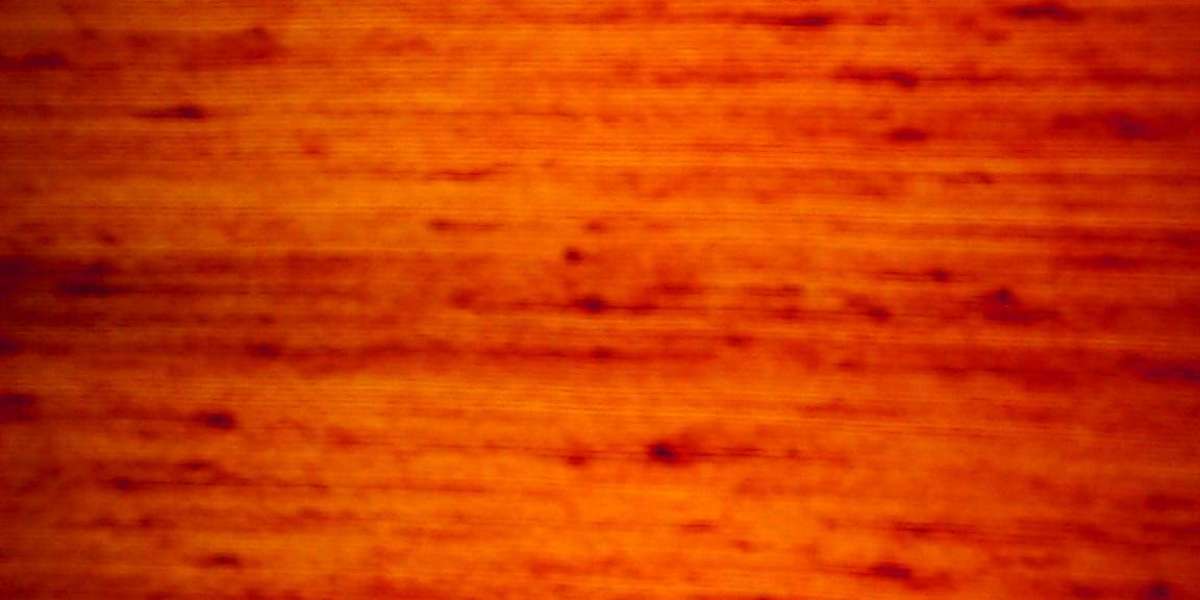 Luxury Gifts & Travel Essentials