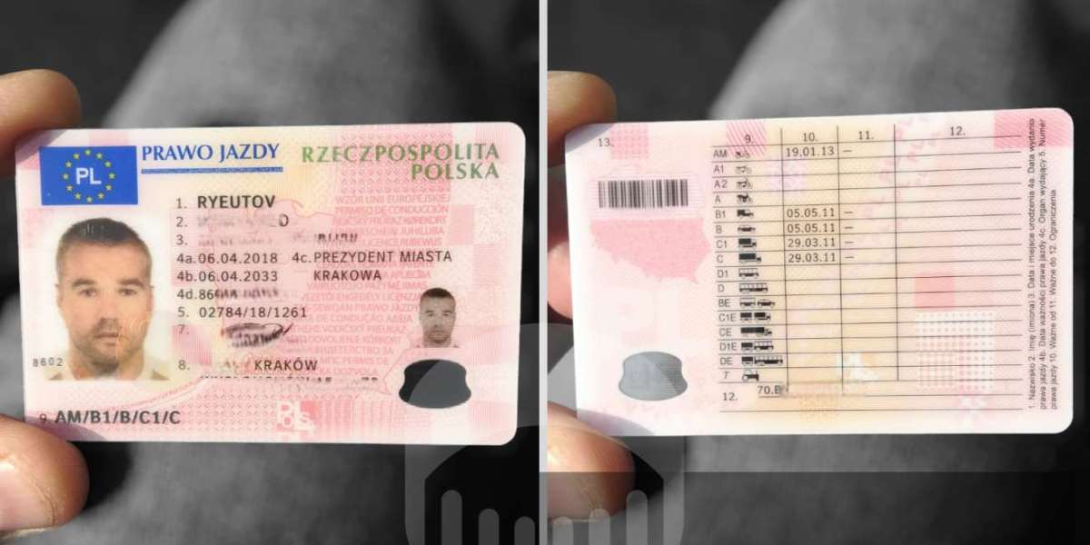 How Polish Driving License Online Has Changed The History Of Polish Driving License Online