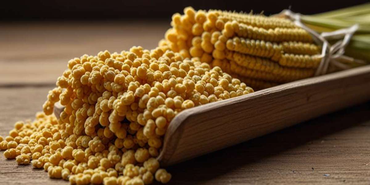 Millet Prices Q3 2025: Latest Movement and Data Insights