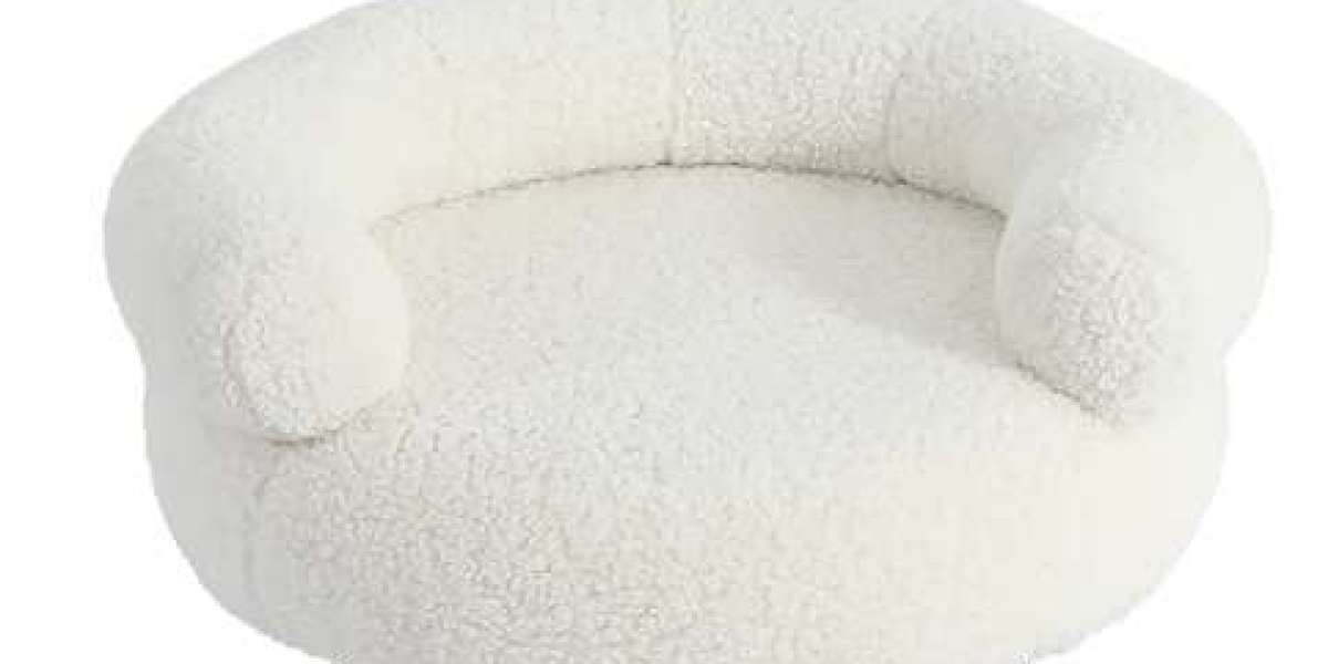 Home Decor Upgrade: A Pet Sofa You'll Be Proud to Display