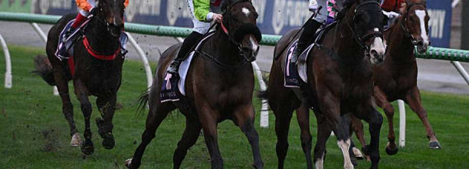 my betting mate Cover Image