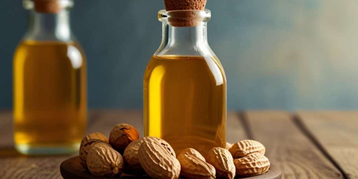 Peanut Oil Price Trend Q3 2025: Latest Price Insights, Historical Chart and Forecast