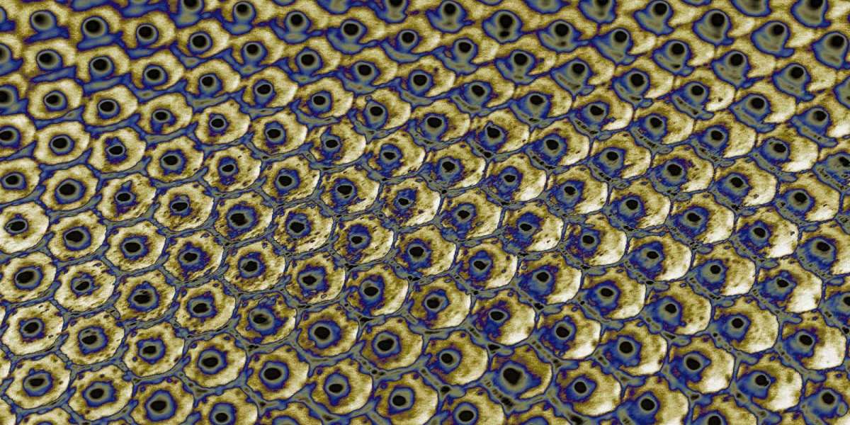 Best Online Casinos Australia Top 10 Australian Casinos 2025