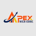 Apex Web Cube Profile Picture