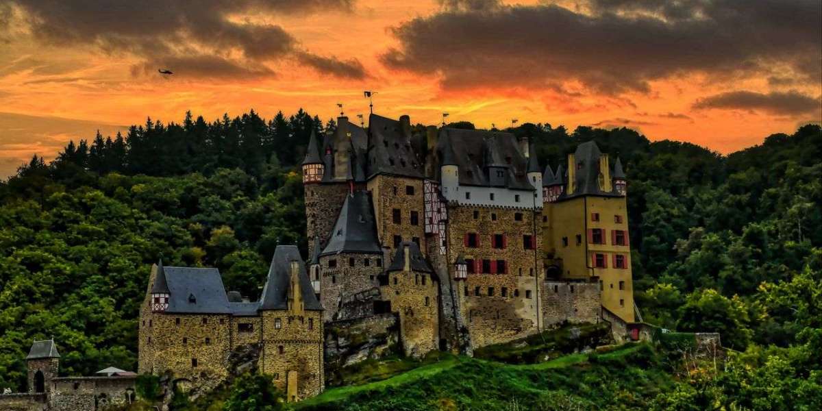 Transforming Setbacks into Growth