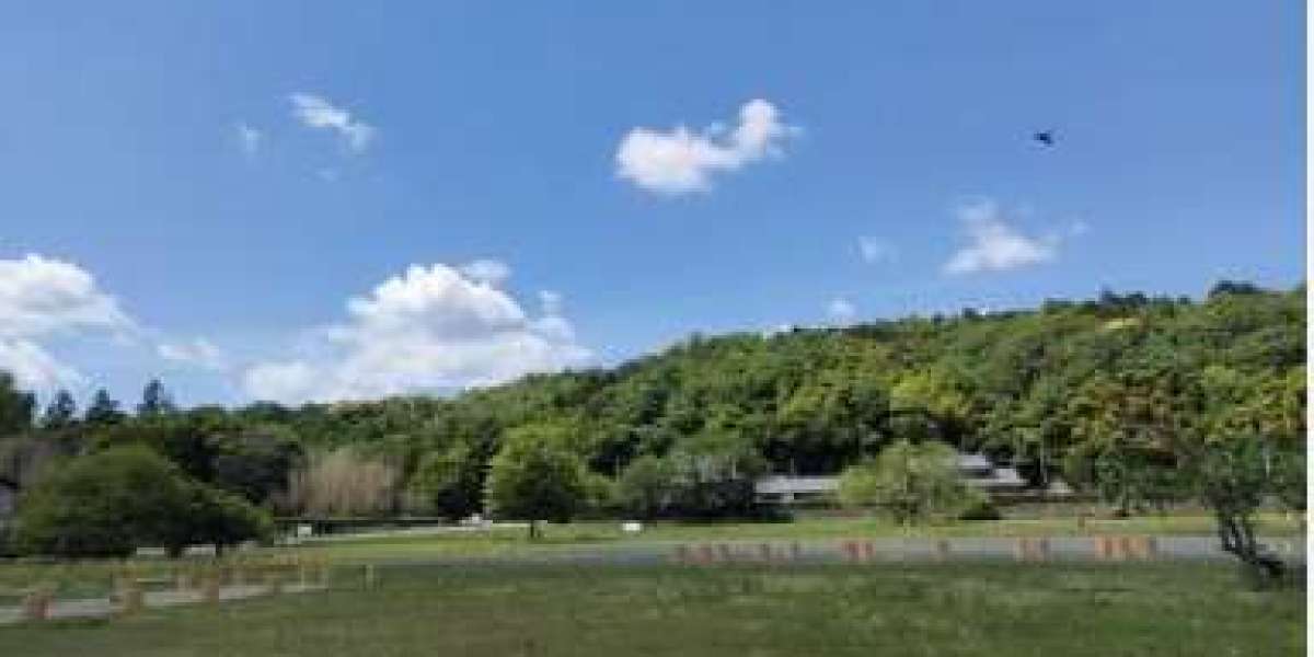 Expanding Consciousness Together at Maitreya Fields Forum