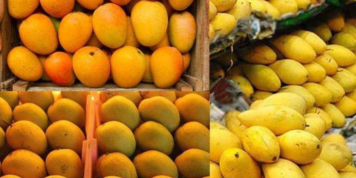 How India Mango Trade Data Reveals Market Opportunities
