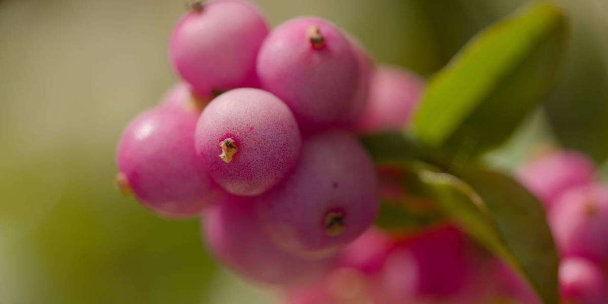 The Influence of Digital Technologies on Attention