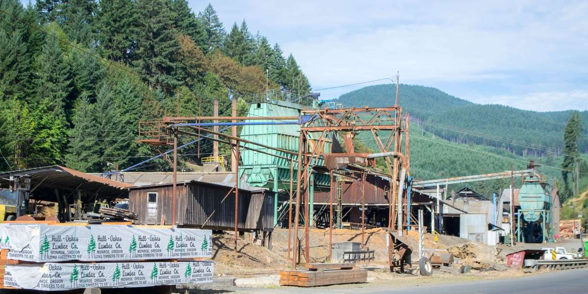 Automated Timber Quantification Engines Strengthening Project Trust